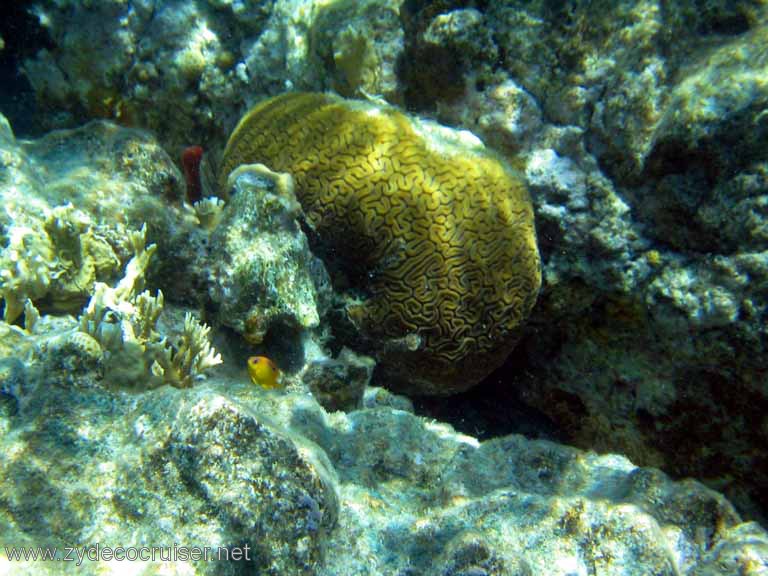 096: Sailing Yacht Arabella - British Virgin Islands - Snorkeling at The Indians