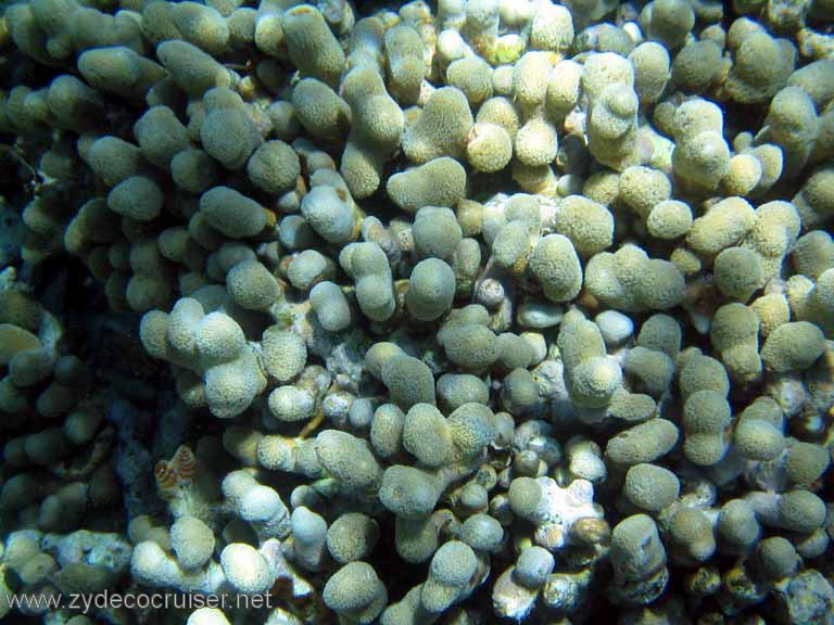 097: Sailing Yacht Arabella - British Virgin Islands - Snorkeling at The Indians