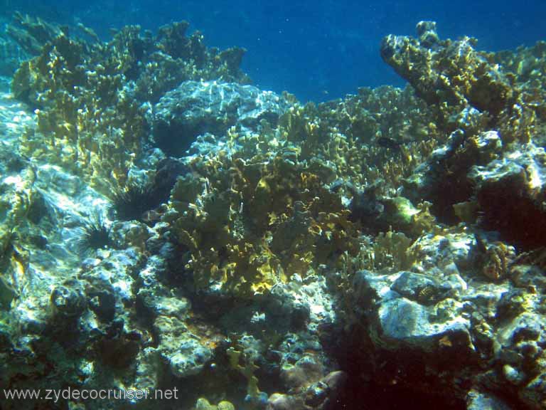 102: Sailing Yacht Arabella - British Virgin Islands - Snorkeling at The Indlans