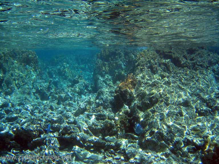 105: Sailing Yacht Arabella - British Virgin Islands - Snorkeling at The Indians