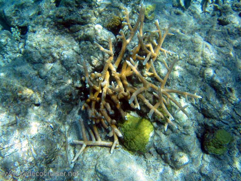 107: Sailing Yacht Arabella - British Virgin Islands - Snorkeling at The Indians