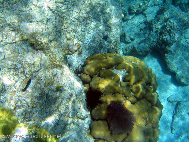 108: Sailing Yacht Arabella - British Virgin Islands - Snorkeling at The Indians