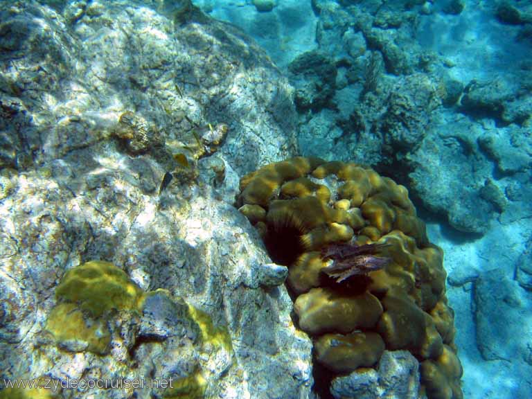 109: Sailing Yacht Arabella - British Virgin Islands - Snorkeling at The Indians