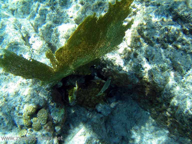 113: Sailing Yacht Arabella - British Virgin Islands - Snorkeling at The Indians