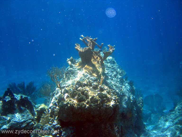 114: Sailing Yacht Arabella - British Virgin Islands - Snorkeling at The Indians