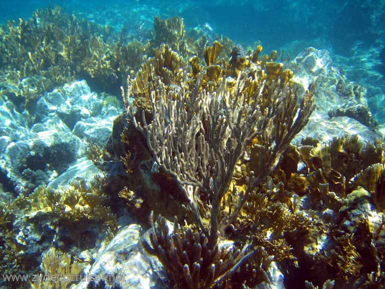 115: Sailing Yacht Arabella - British Virgin Islands - Snorkeling at The Indians