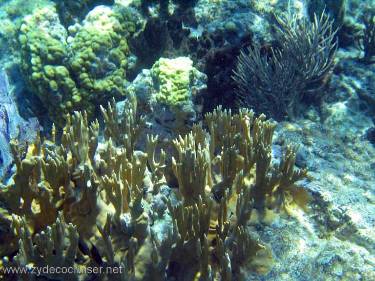 117: Sailing Yacht Arabella - British Virgin Islands - Snorkeling at The Indians