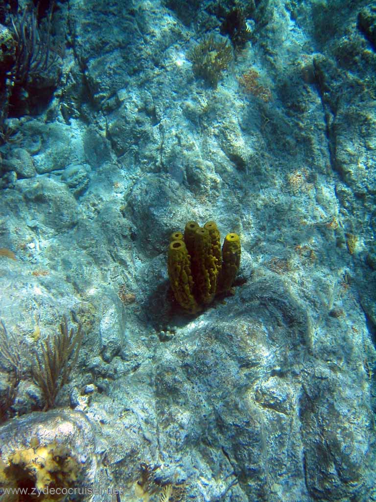 120: Sailing Yacht Arabella - British Virgin Islands - Snorkeling at The Indians