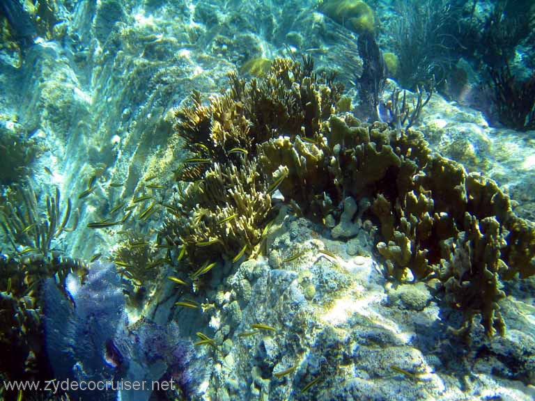 122: Sailing Yacht Arabella - British Virgin Islands - Snorkeling at The Indians