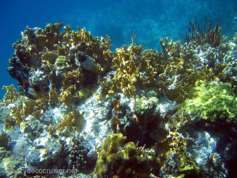 123: Sailing Yacht Arabella - British Virgin Islands - Snorkeling at The Indians