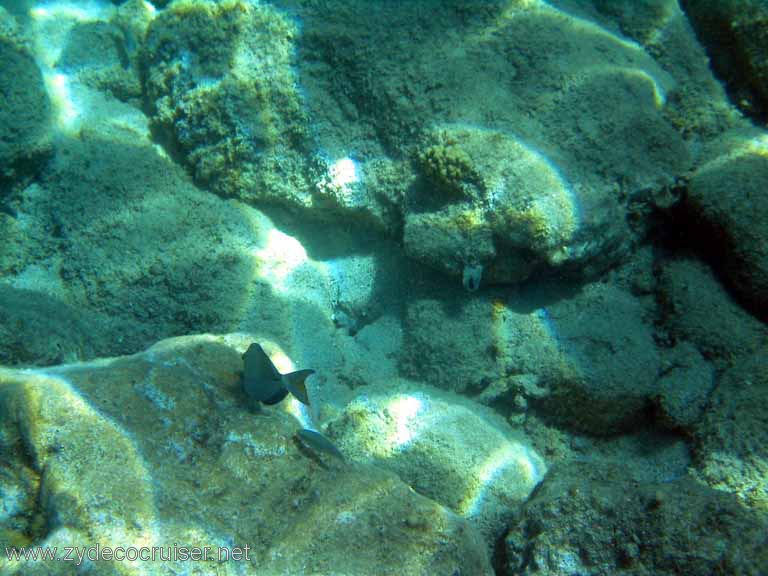 131: Sailing Yacht Arabella - British Virgin Islands - Norman Island - Snorkeling The Caves