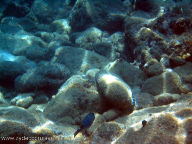 132: Sailing Yacht Arabella - British Virgin Islands - Norman Island - Snorkeling The Caves