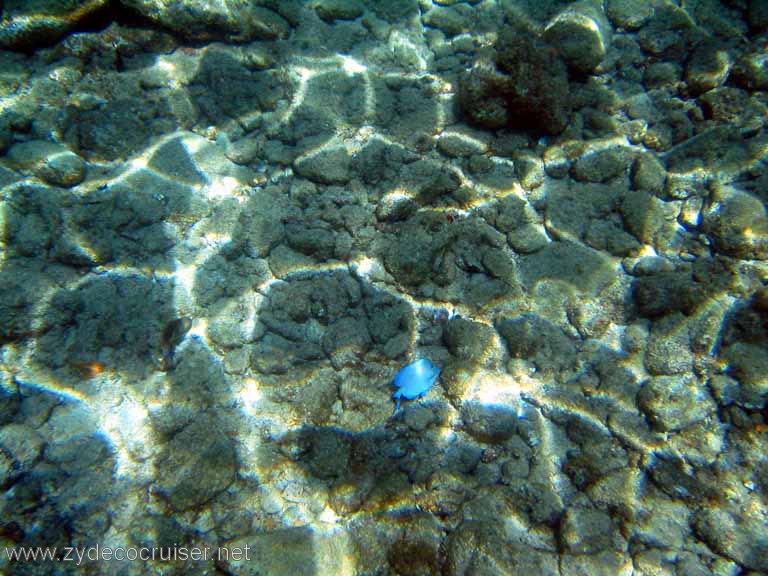 133: Sailing Yacht Arabella - British Virgin Islands - Norman Island - Snorkeling The Caves