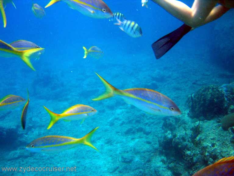 145: Sailing Yacht Arabella - British Virgin Islands - Norman Island - Snorkeling The Caves