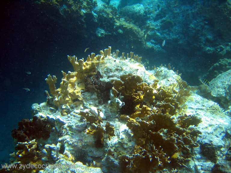 150: Sailing Yacht Arabella - British Virgin Islands - Norman Island - Snorkeling The Caves