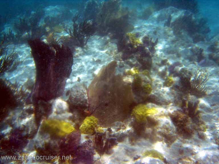 269: Sailing Yacht Arabella - British Virgin Islands - Snorkeling at Loblolly Bay