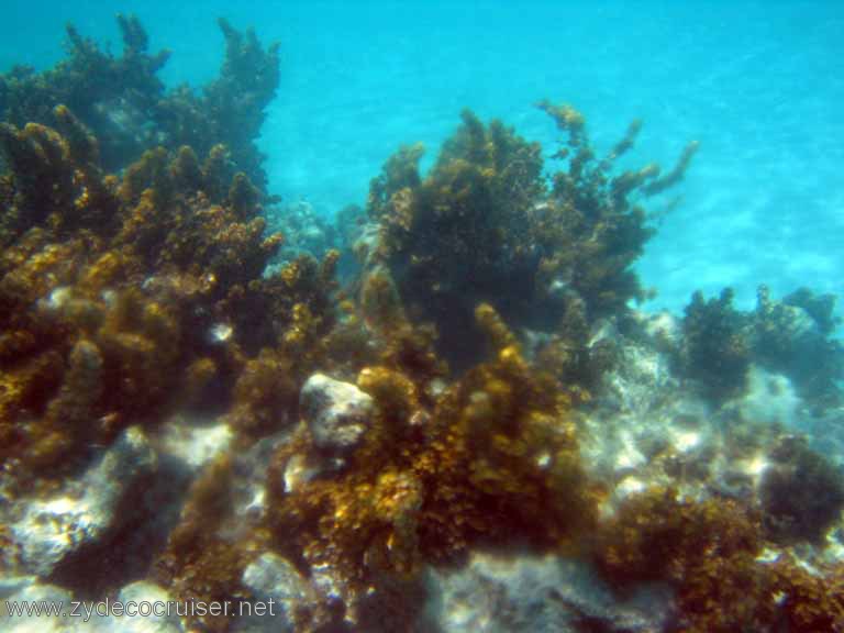 279: Sailing Yacht Arabella - British Virgin Islands - Snorkeling at Loblolly Bay