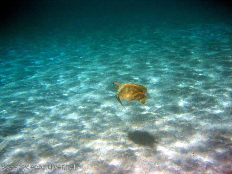 283: Sailing Yacht Arabella - British Virgin Islands - Snorkeling at Loblolly Bay