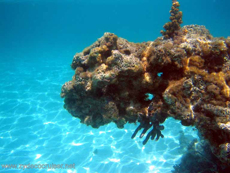 286: Sailing Yacht Arabella - British Virgin Islands - Snorkeling at Loblolly Bay