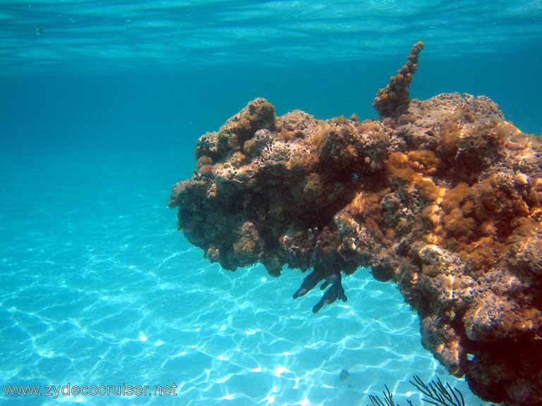 287: Sailing Yacht Arabella - British Virgin Islands - Snorkeling at Loblolly Bay