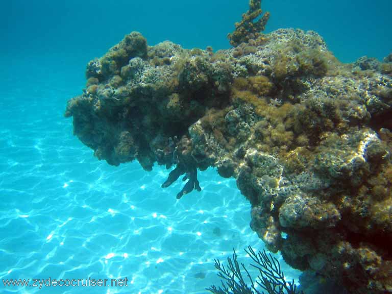 288: Sailing Yacht Arabella - British Virgin Islands - Snorkeling at Loblolly Bay