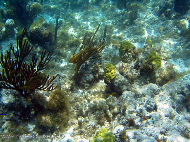 289: Sailing Yacht Arabella - British Virgin Islands - Snorkeling at Loblolly Bay