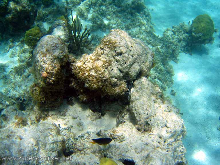 291: Sailing Yacht Arabella - British Virgin Islands - Snorkeling at Loblolly Bay