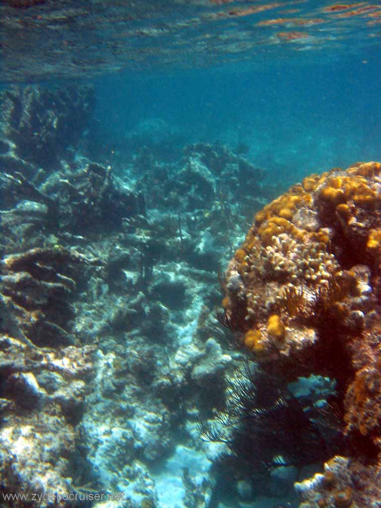 297: Sailing Yacht Arabella - British Virgin Islands - Snorkeling at Loblolly Bay