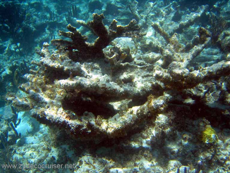 298: Sailing Yacht Arabella - British Virgin Islands - Snorkeling at Loblolly Bay