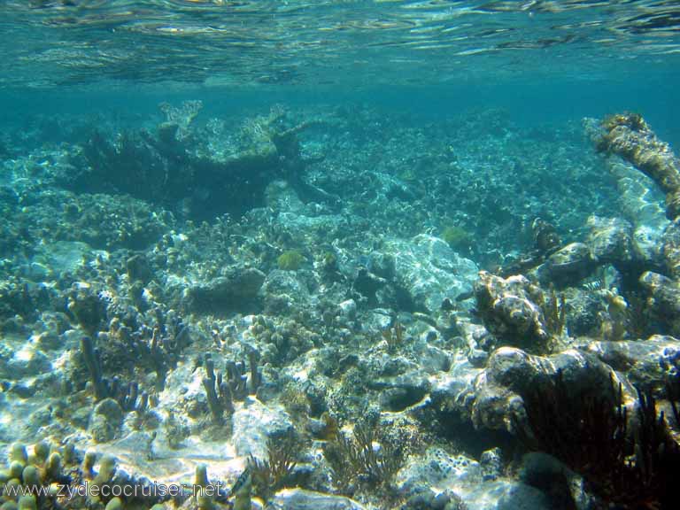 299: Sailing Yacht Arabella - British Virgin Islands - Snorkeling at Loblolly Bay