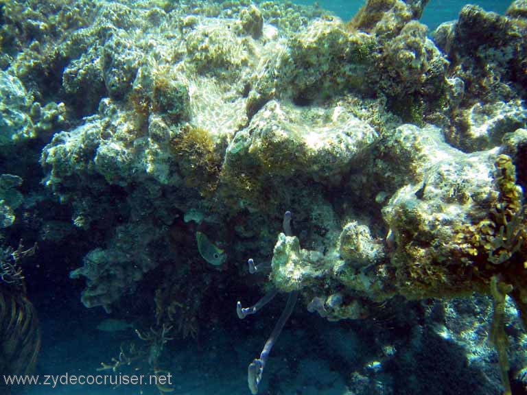 301: Sailing Yacht Arabella - British Virgin Islands - Snorkeling at Loblolly Bay