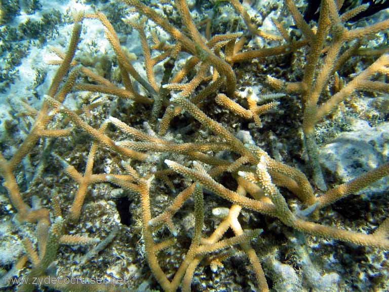 303: Sailing Yacht Arabella - British Virgin Islands - Snorkeling at Loblolly Bay