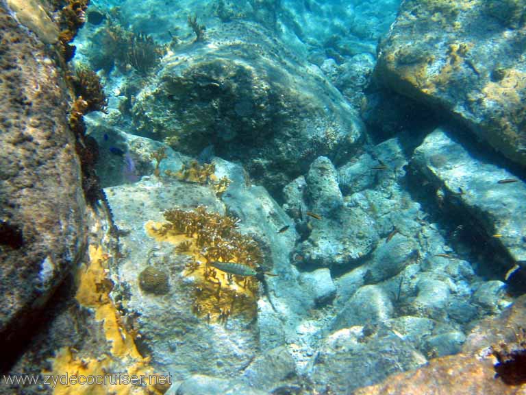 392: Sailing Yacht Arabella - British Virgin Islands - Cooper Island - Cistern Rock Snorkeling