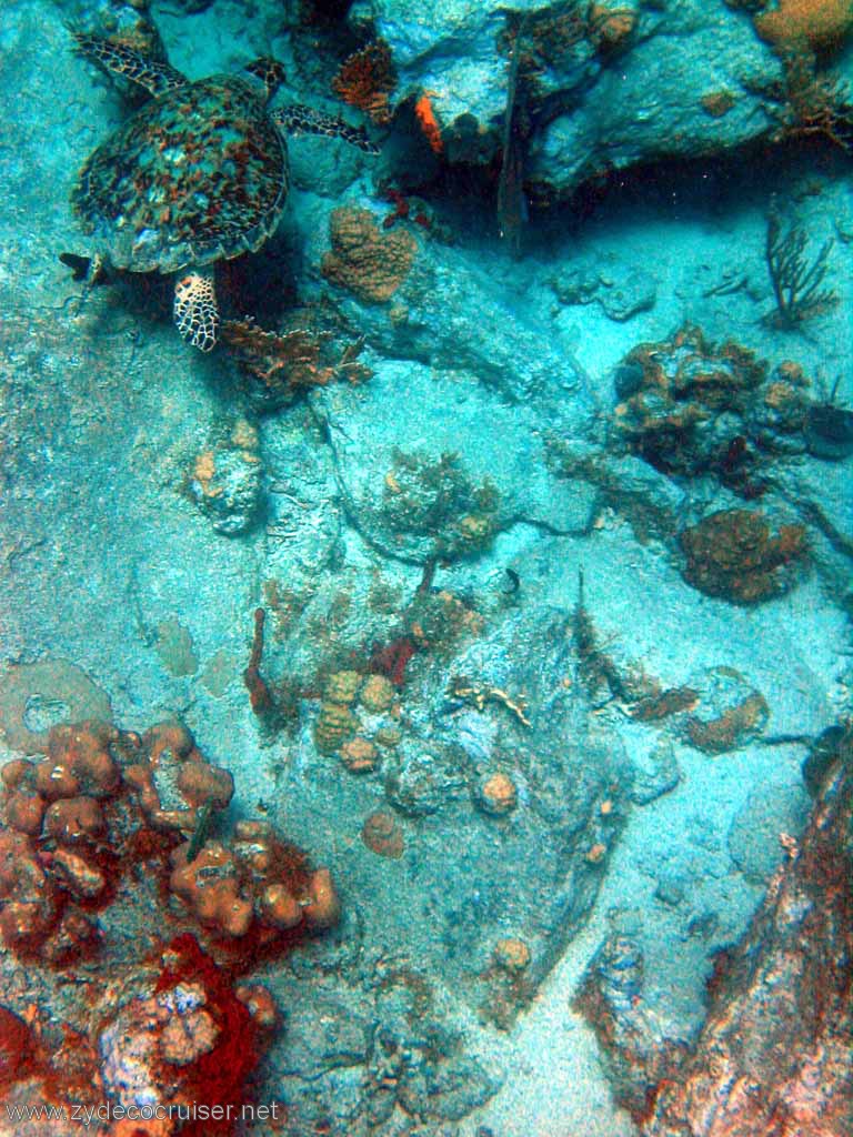 396: Sailing Yacht Arabella - British Virgin Islands - Cooper Island - Cistern Rock Snorkeling