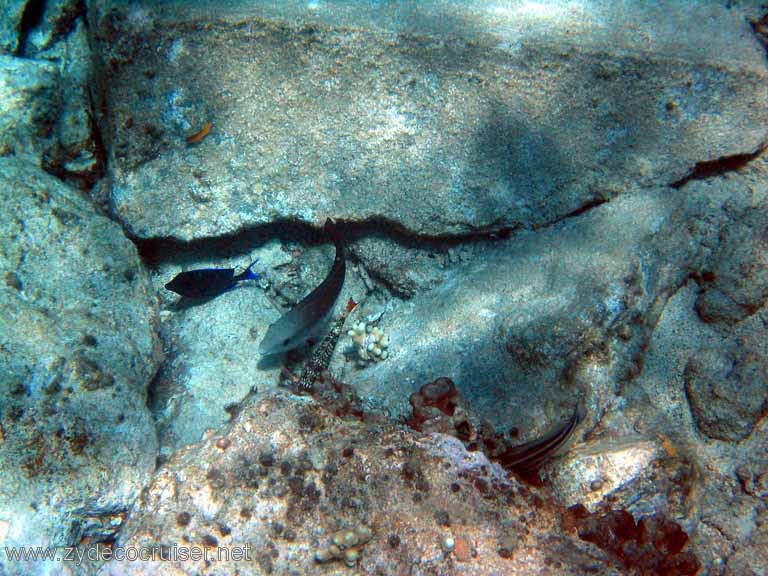 397: Sailing Yacht Arabella - British Virgin Islands - Cooper Island - Cistern Rock Snorkeling