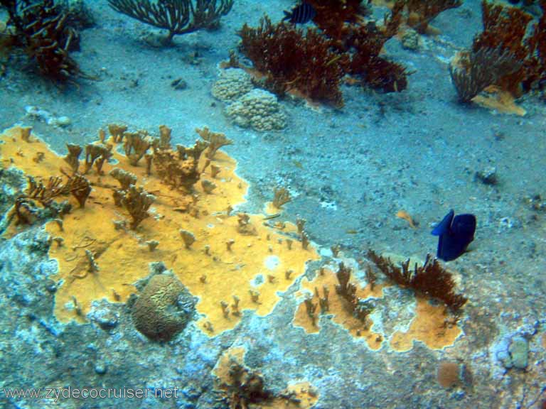 399: Sailing Yacht Arabella - British Virgin Islands - Cooper Island - Cistern Rock Snorkeling