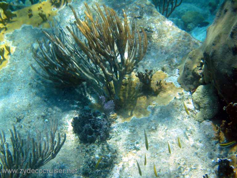 401: Sailing Yacht Arabella - British Virgin Islands - Cooper Island - Cistern Rock Snorkeling