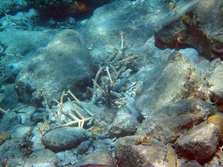 407: Sailing Yacht Arabella - British Virgin Islands - Cooper Island - Cistern Rock Snorkeling