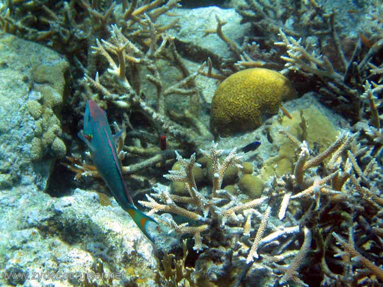 410: Sailing Yacht Arabella - British Virgin Islands - Cooper Island - Cistern Rock Snorkeling