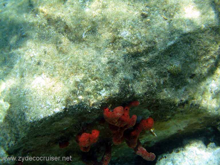 411: Sailing Yacht Arabella - British Virgin Islands - Cooper Island - Cistern Rock Snorkeling