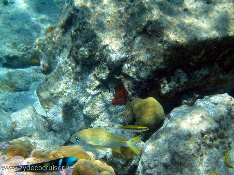 412: Sailing Yacht Arabella - British Virgin Islands - Cooper Island - Cistern Rock Snorkeling