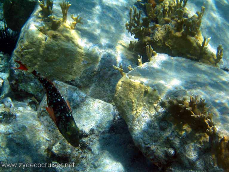 414: Sailing Yacht Arabella - British Virgin Islands - Cooper Island - Cistern Rock Snorkeling