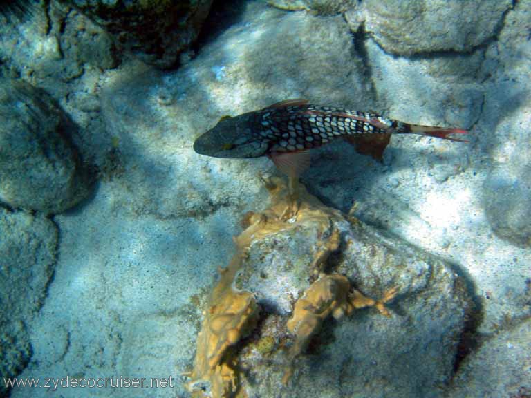 415: Sailing Yacht Arabella - British Virgin Islands - Cooper Island - Cistern Rock Snorkeling