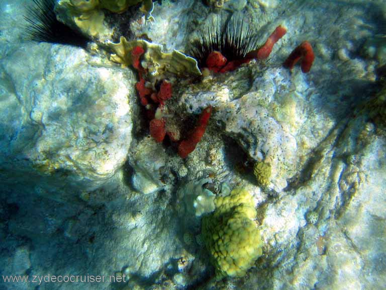 419: Sailing Yacht Arabella - British Virgin Islands - Cooper Island - Cistern Rock Snorkeling