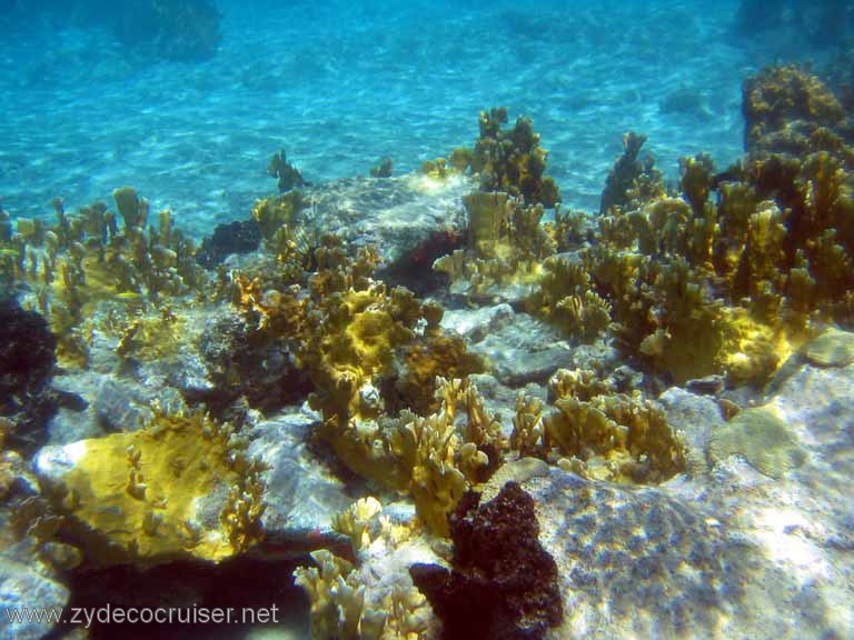 420: Sailing Yacht Arabella - British Virgin Islands - Cooper Island - Cistern Rock Snorkeling