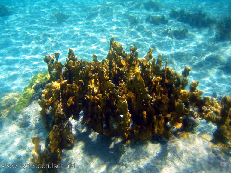 421: Sailing Yacht Arabella - British Virgin Islands - Cooper Island - Cistern Rock Snorkeling