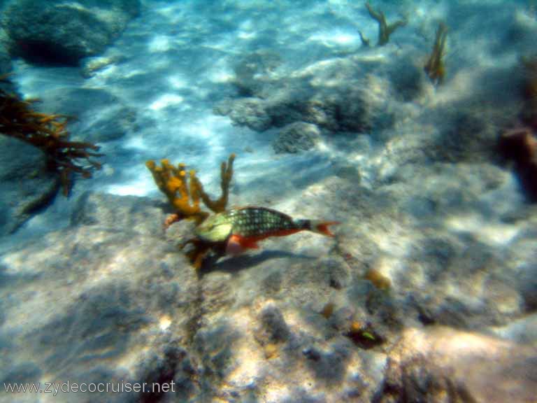 424: Sailing Yacht Arabella - British Virgin Islands - Cooper Island - Cistern Rock Snorkeling