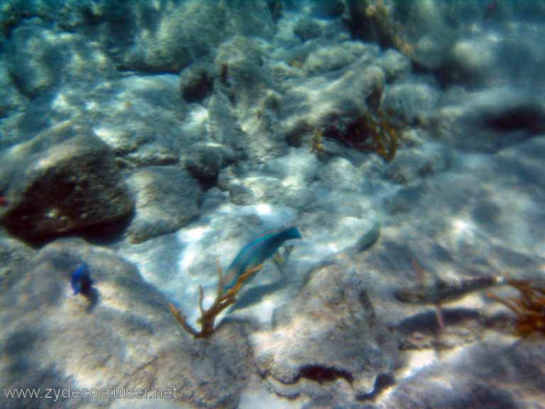 425: Sailing Yacht Arabella - British Virgin Islands - Cooper Island - Cistern Rock Snorkeling