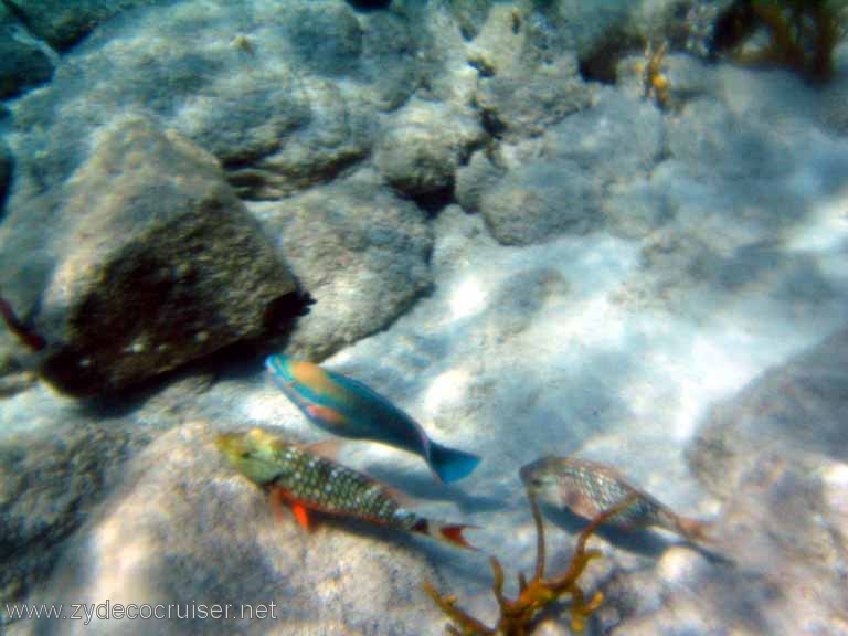 426: Sailing Yacht Arabella - British Virgin Islands - Cooper Island - Cistern Rock Snorkeling