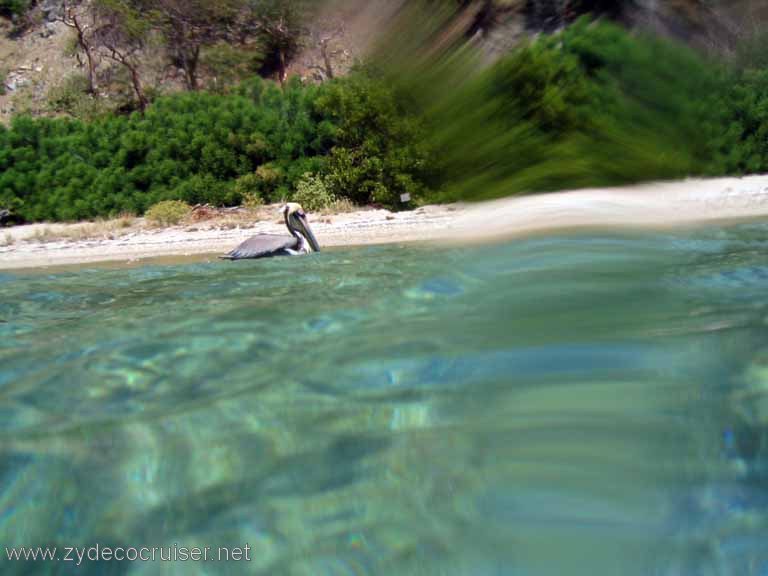 444: Sailing Yacht Arabella - British Virgin Islands - Cooper Island - Cistern Rock Snorkeling